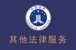 深圳律师其他法律服务